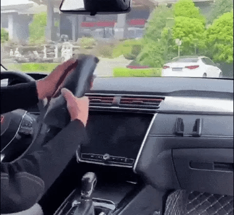 Car Windshield Cover